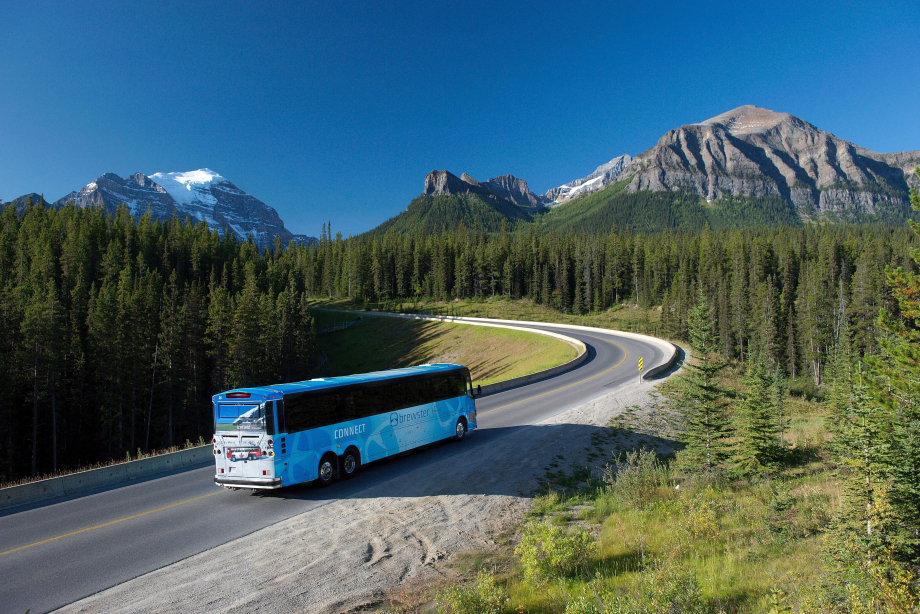 Brewster tour bus driving through Banff National Park