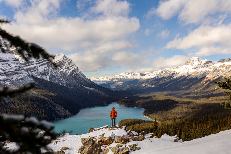Younger male looks out over Peyto Lake in winter
