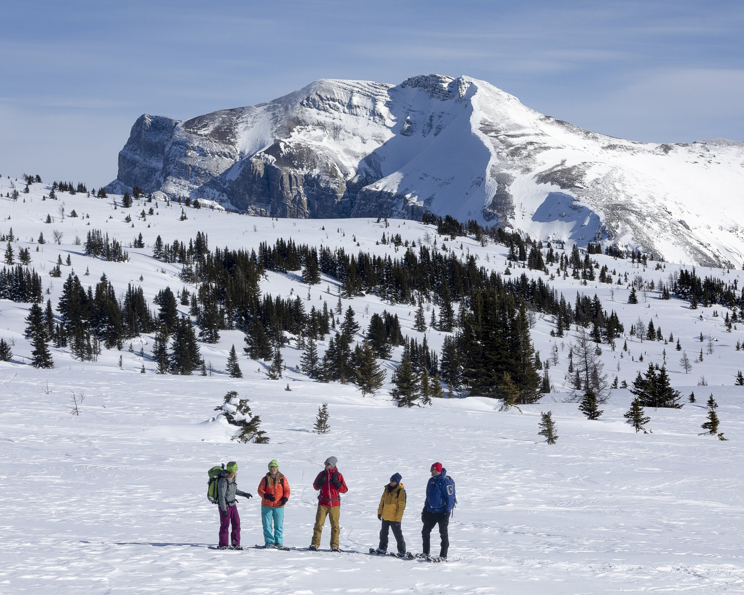Snowshoeing tour with White Mountain Adventures