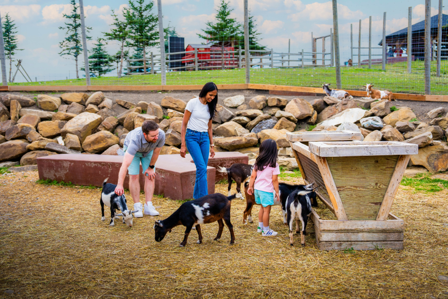 Family with animals in the farmyard at the Granary Road Park, Farmyard & Farmer's Market.