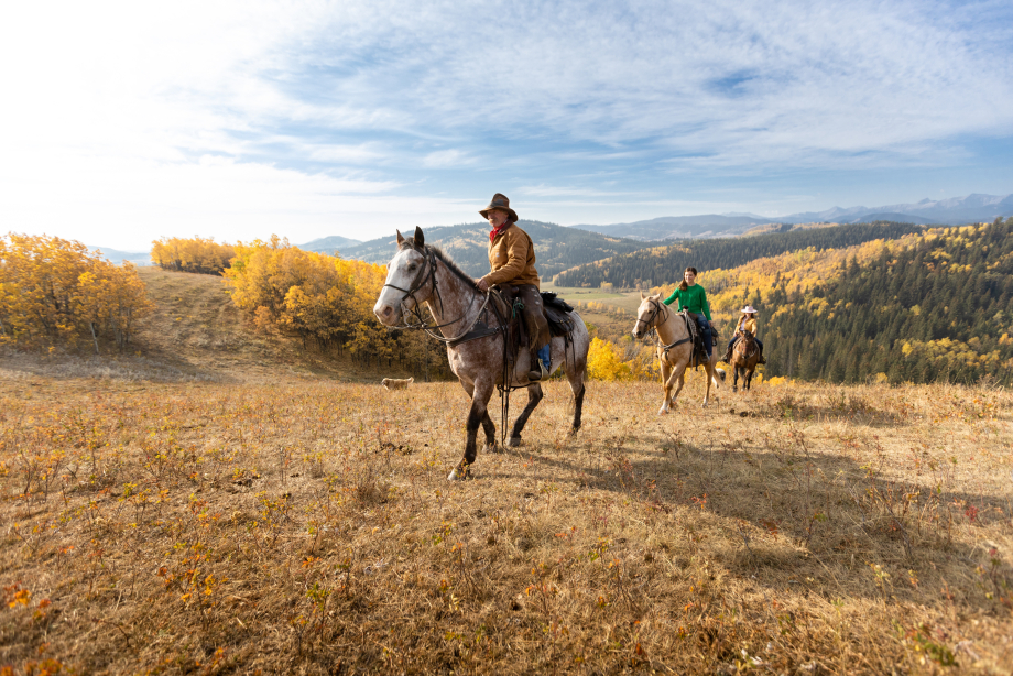 Three riders walking up the hill on horseback while horseback riding in Diamond Valley