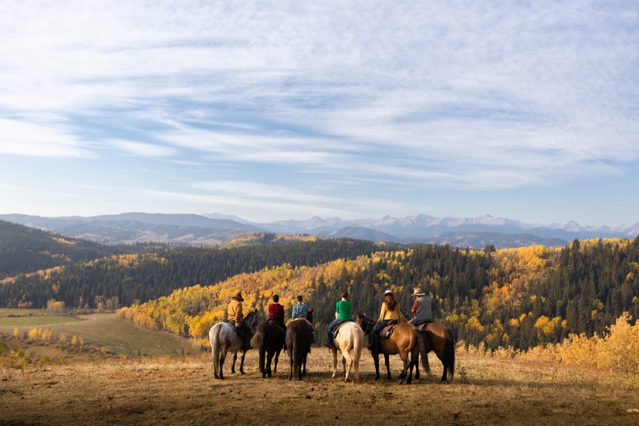 Group of trail riders stopped looking out at valley while horseback riding in Diamond Valley