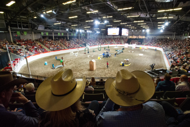 Agriculture event in Arena with a crowd