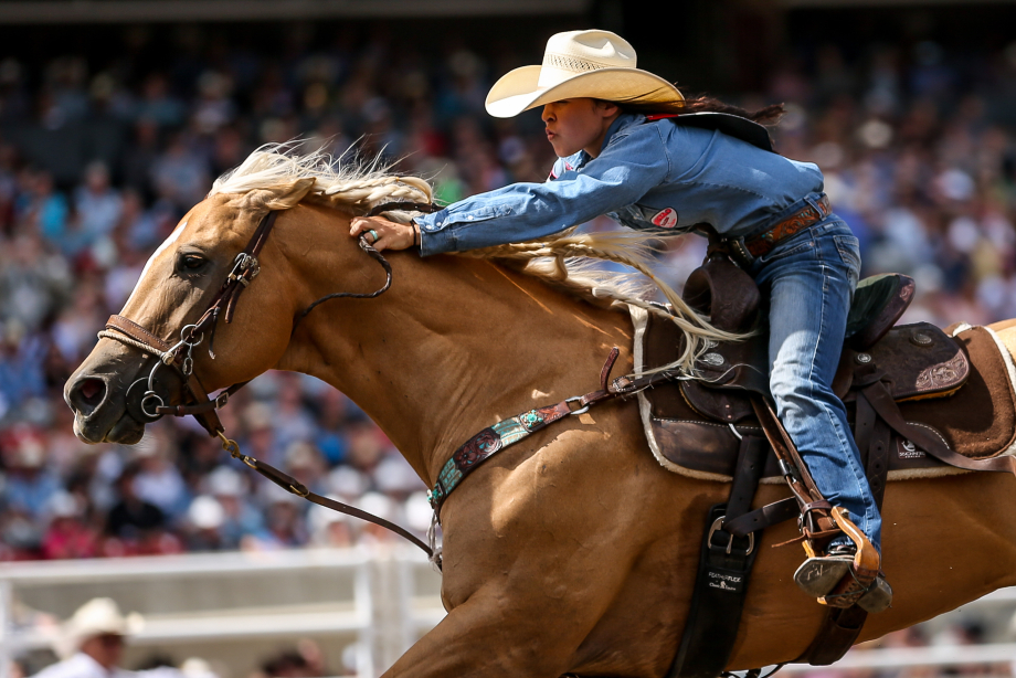 Woman on horse competing in english riding at Calgary Stampede
