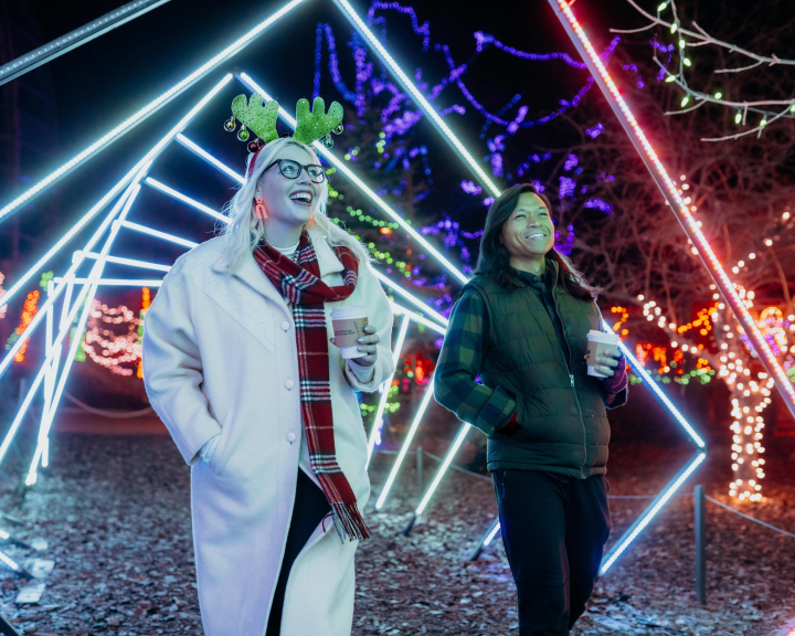 Two friends walking around the ZOOLIGHTS