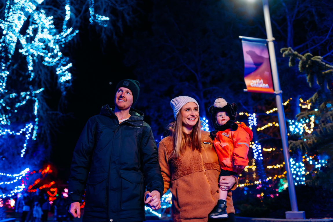 Family enjoying ZOOLIGHTS