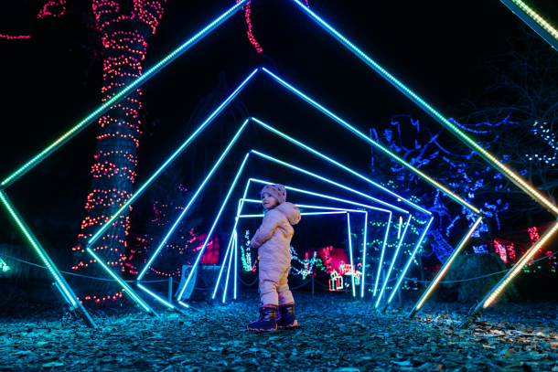 Toddler exploring the winter lights at ZOOLIGHTS
