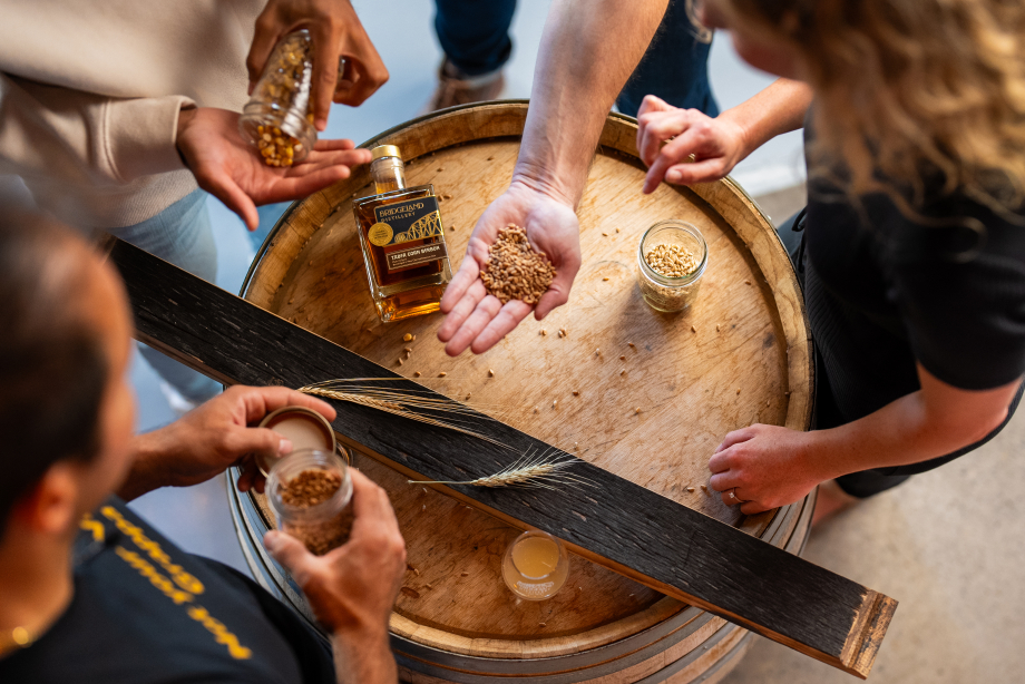Learn about the Brandy, Whisky, and Grappa making processes on a Bridgeland Distillery tour