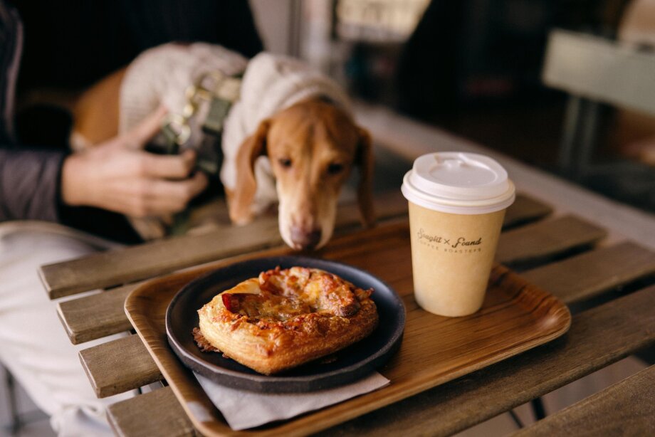 A man holding a dog on the patio at Sought x Found Coffee Roasters.