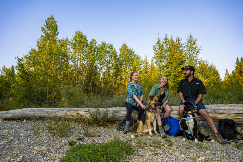 group of three friends taking a break from hiking in Fish Creek Park to sit on a log with their dog