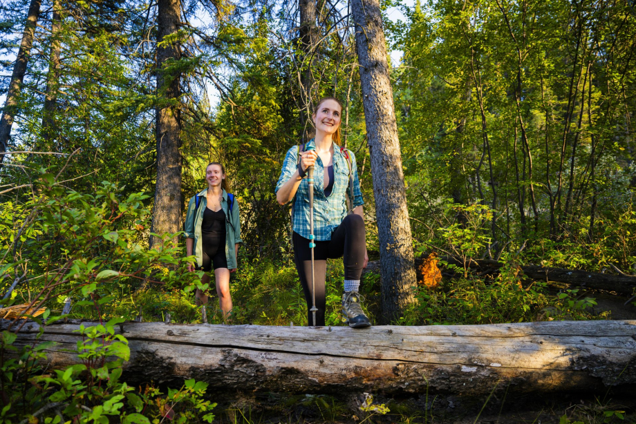 two women hike through a forested area of Fish Creek Provincial Park