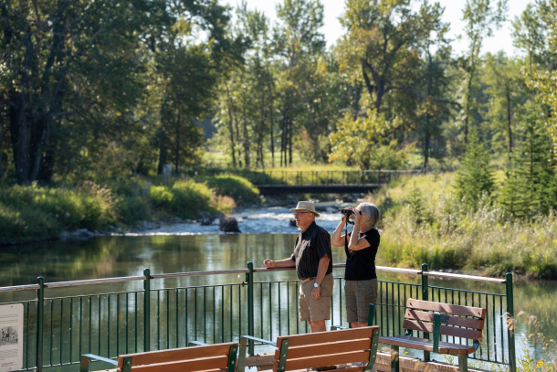 Elder couple bird watching at Inglewood Bird Sanctuary