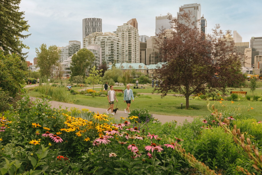 Two men walking dog down path with downtown Calgary in the background