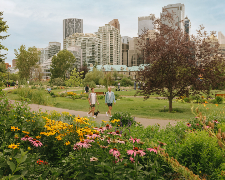 Two men walking dog down path with downtown Calgary in the background