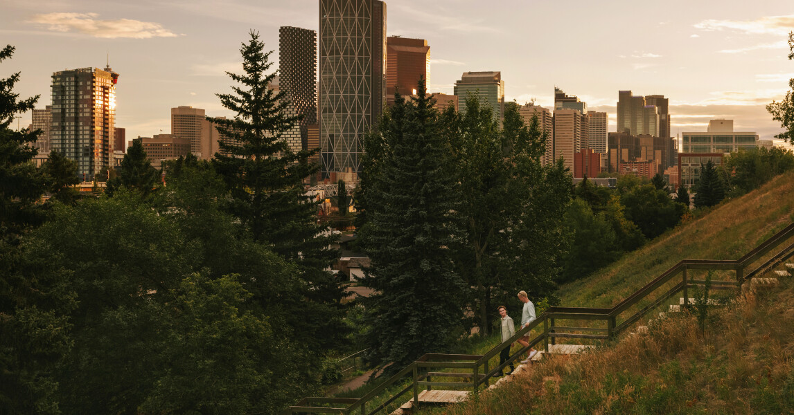 Your Guide to NE Calgary