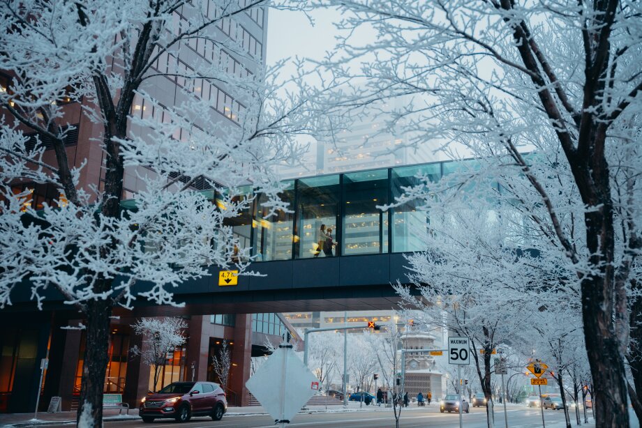 Calgary Plus 15 network