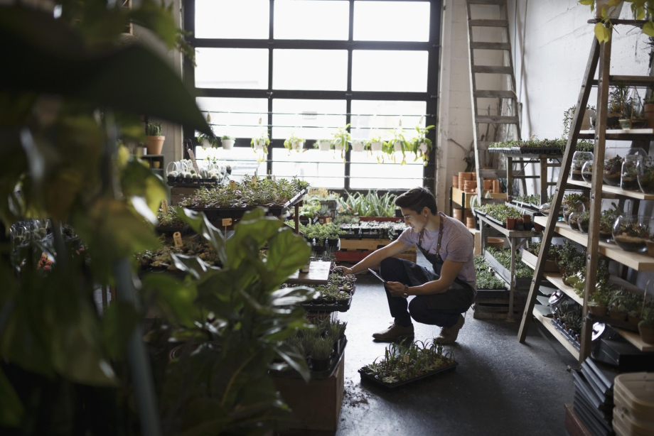 Young man inspecting plants