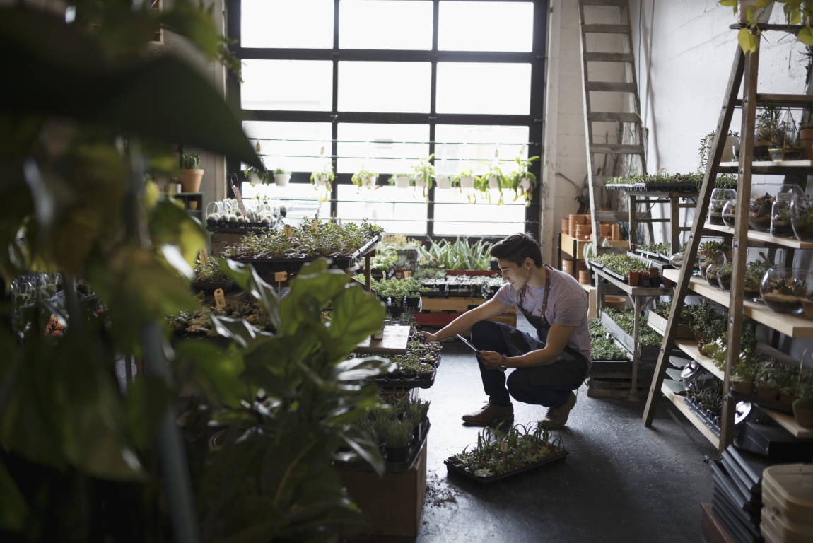 Man working at Plant in Inglewood.