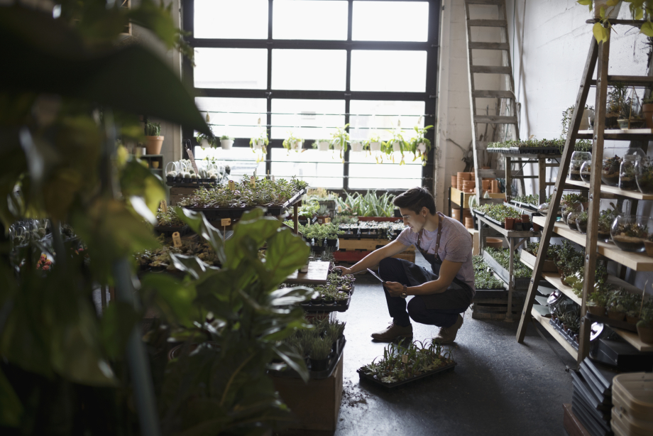 Man working at Plant in Inglewood.