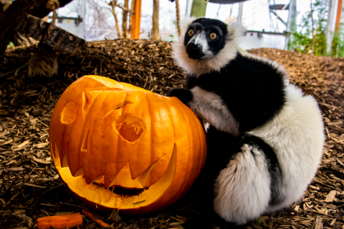 Calgary This Week - updated October 15 | Tourism Calgary