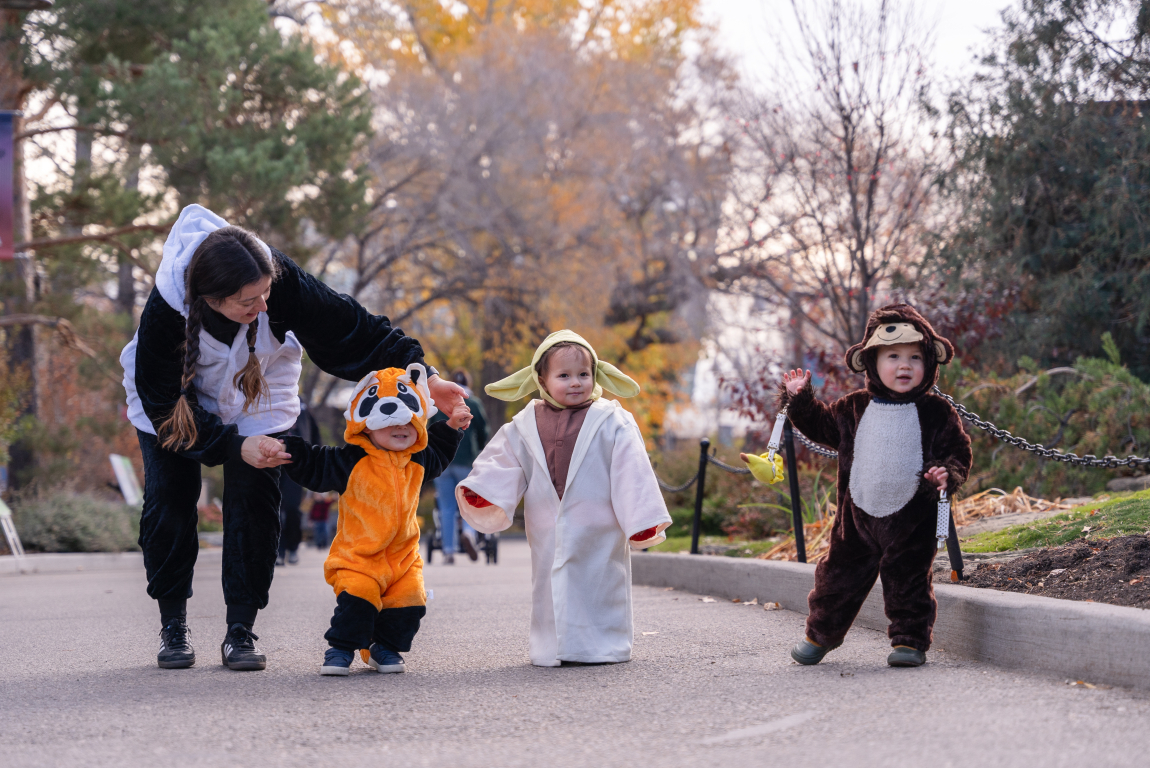 ZooBoo at the Wilder Institute/Calgary Zoo