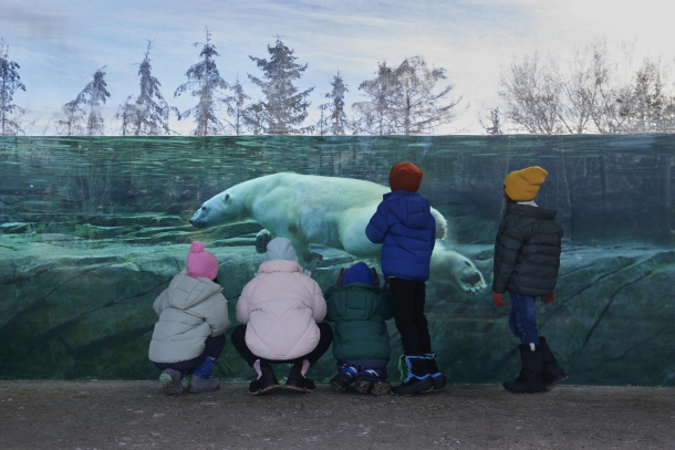children watching a polar bear swim in its habitat at Calgary Zoo