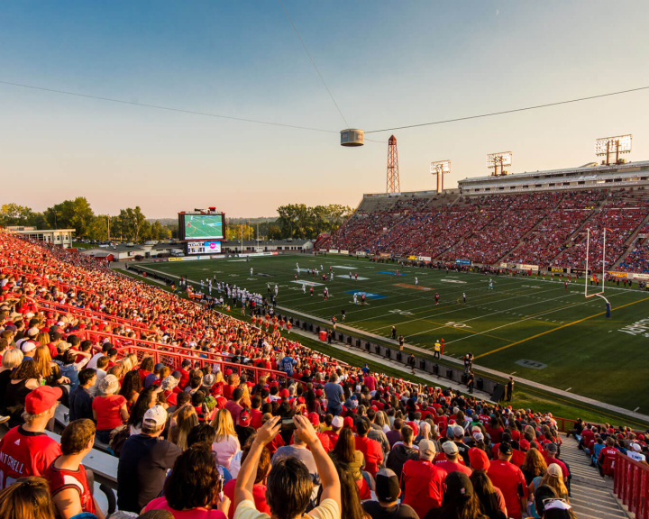 Fans cheering at a Calgary Stampeders game