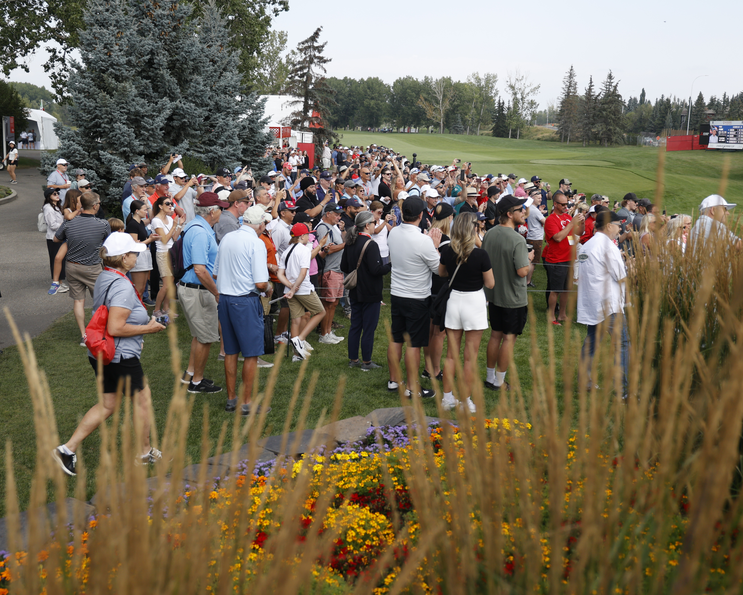 crowd of spectators for shaw charity classic